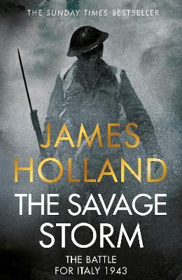 Ibs The Savage Storm: The Battle for Italy 1943